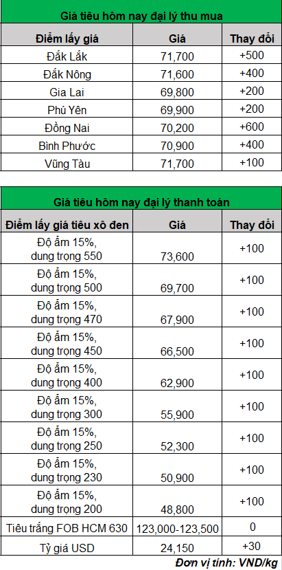 gia tieu 1_1696306295.png